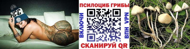 Галлюциногенные грибы мицелий Ижевск