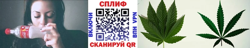 Бошки Шишки сатива  Ижевск 