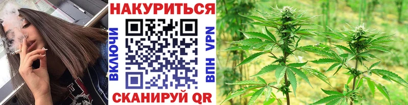 Бошки марихуана марихуана Ижевск